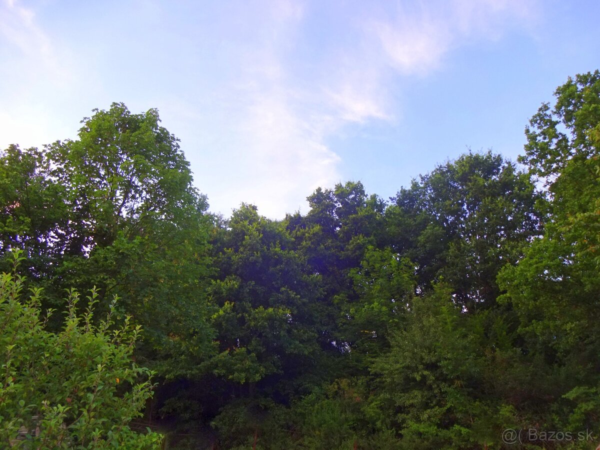 Predaj - lesy, k.ú. Vagrinec - 4