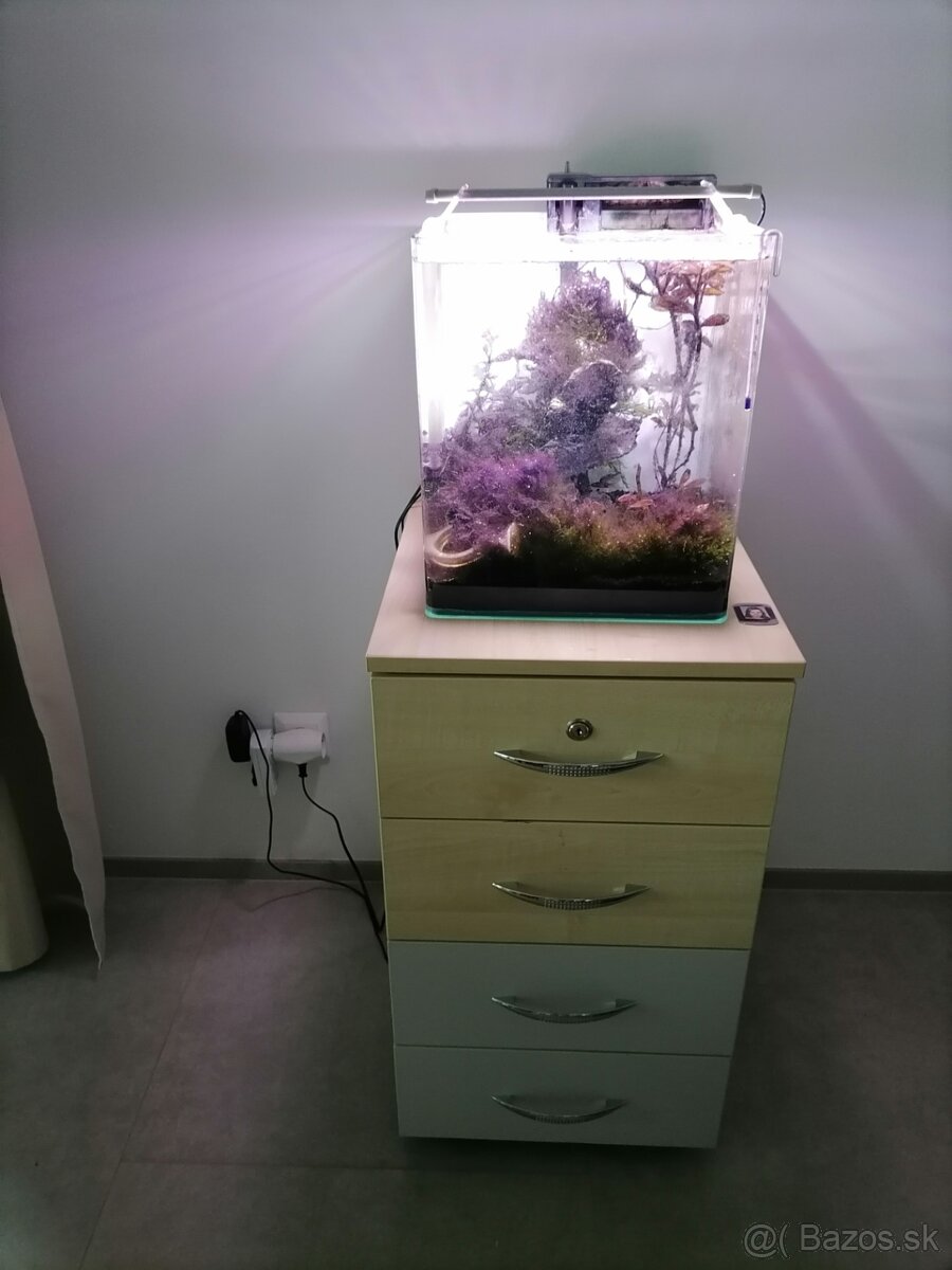 Dennerle akvárium 30l - 4