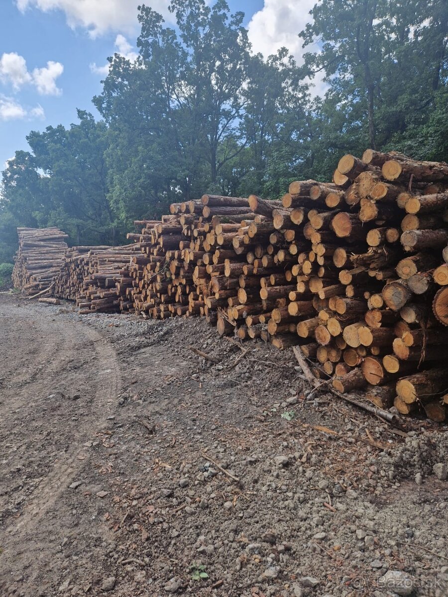 Dubové drevo_Vykurovanie_Predaj_Doprava_19112025 - 4