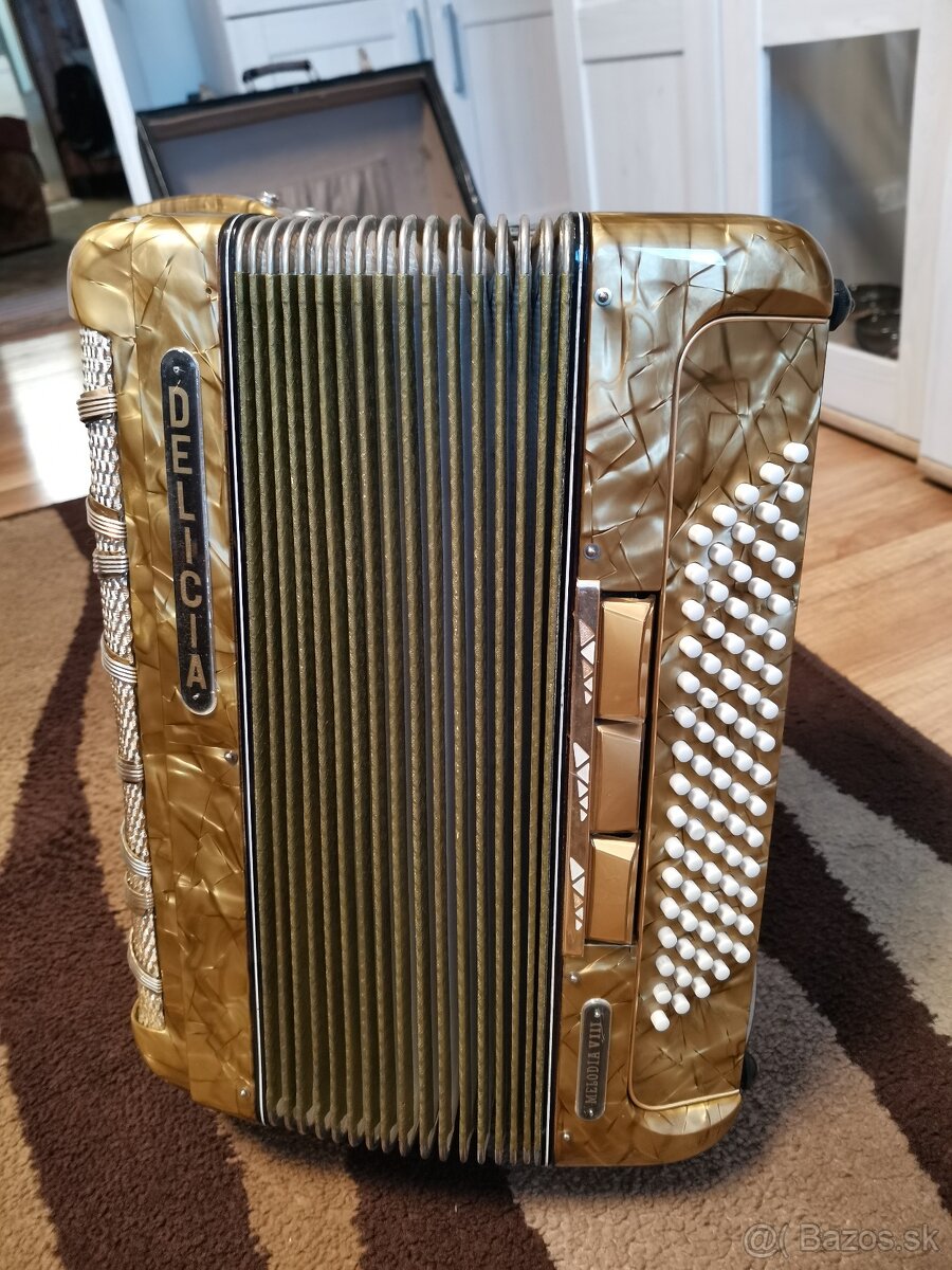 Akordeon Delicia - 4