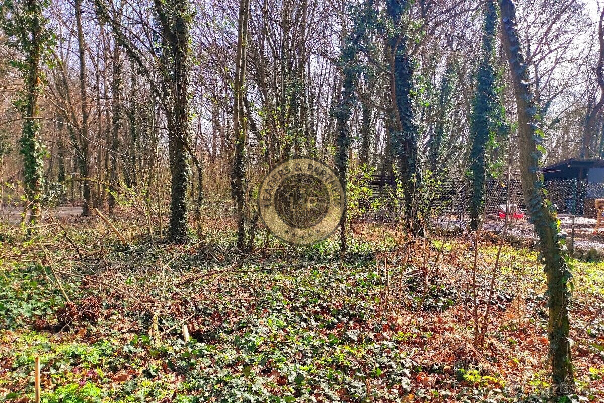 Na predaj rekreačný pozemok v kempingu pri rieke Váh -Sereď - 4