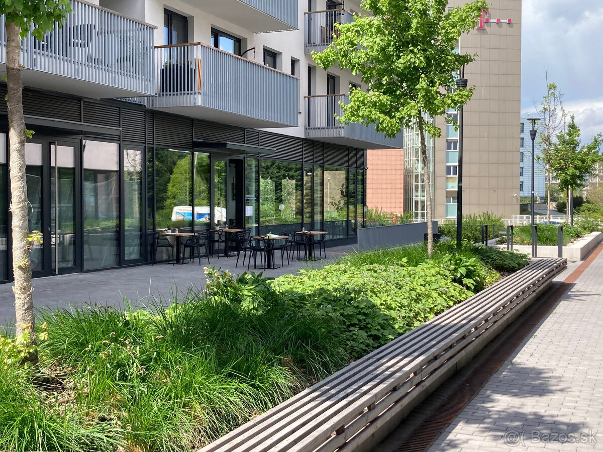 Obch. priestor, lokalita MLYNSKÉ NIVY, možné rodelenie na 3 - 4