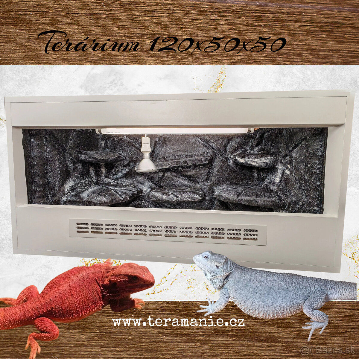 Terárium 100x50x50 , agama bradatá - 4