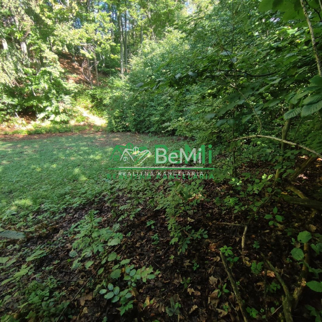 Rekreačný pozemok v Tajove na predaj ID: 015-14-STKa - 4