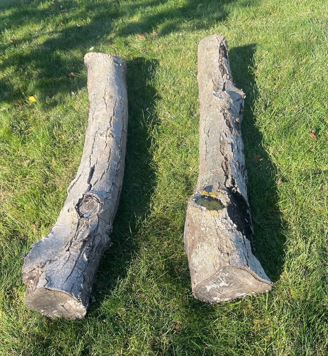 Orechové drevo - 3 ks (kmene) - 4