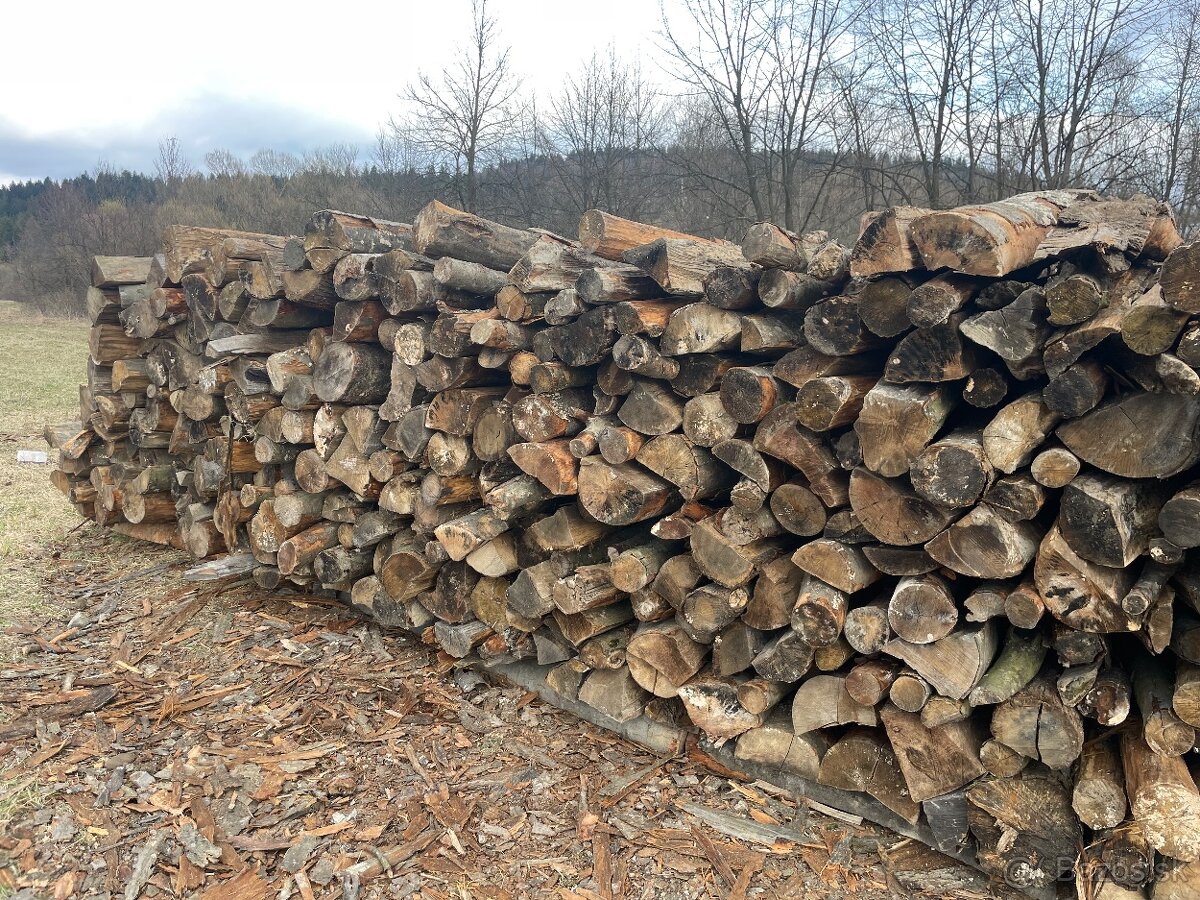 Predám palivové drevo BUK - 4