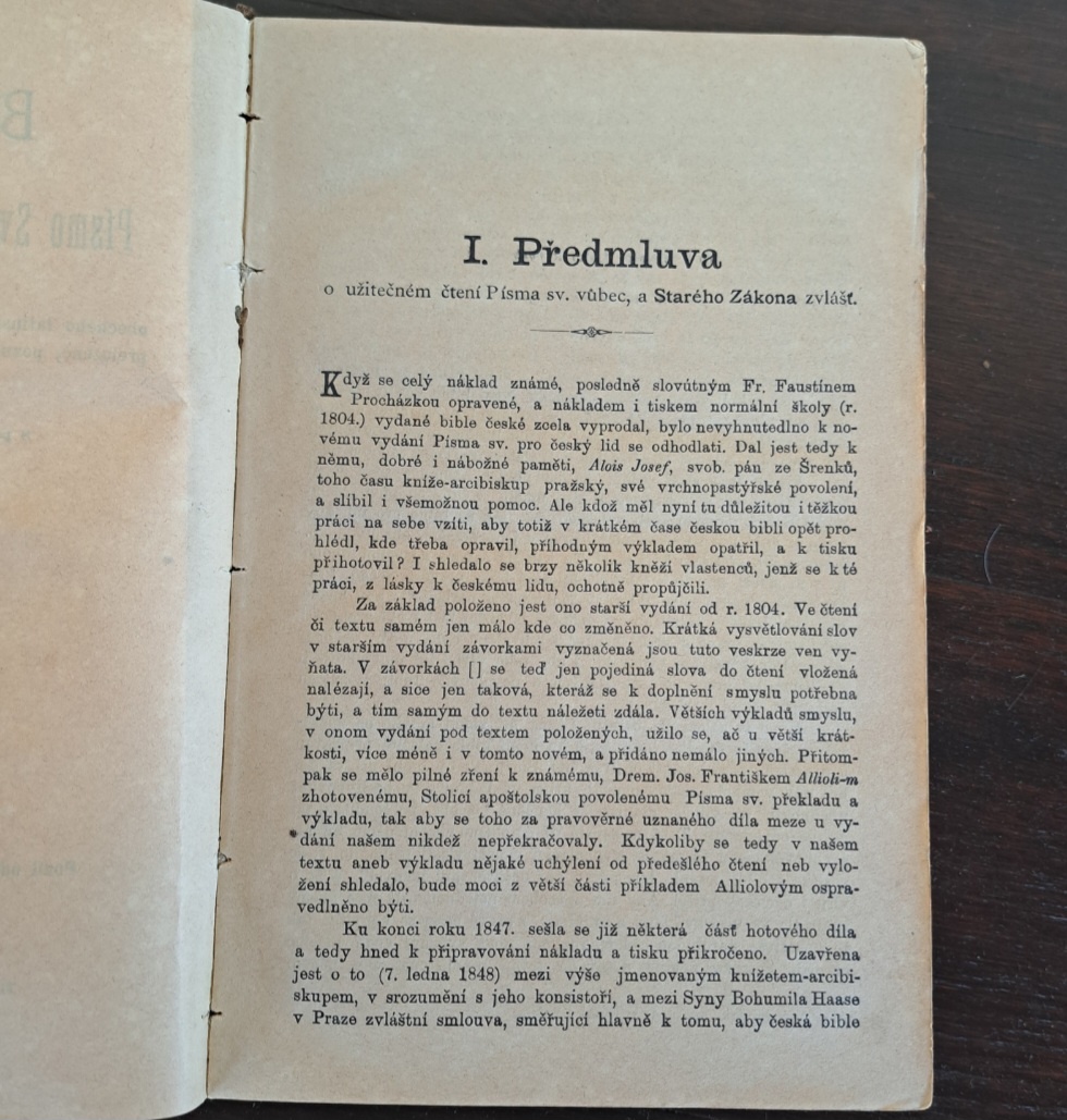 Biblie Česká 1889 - 4