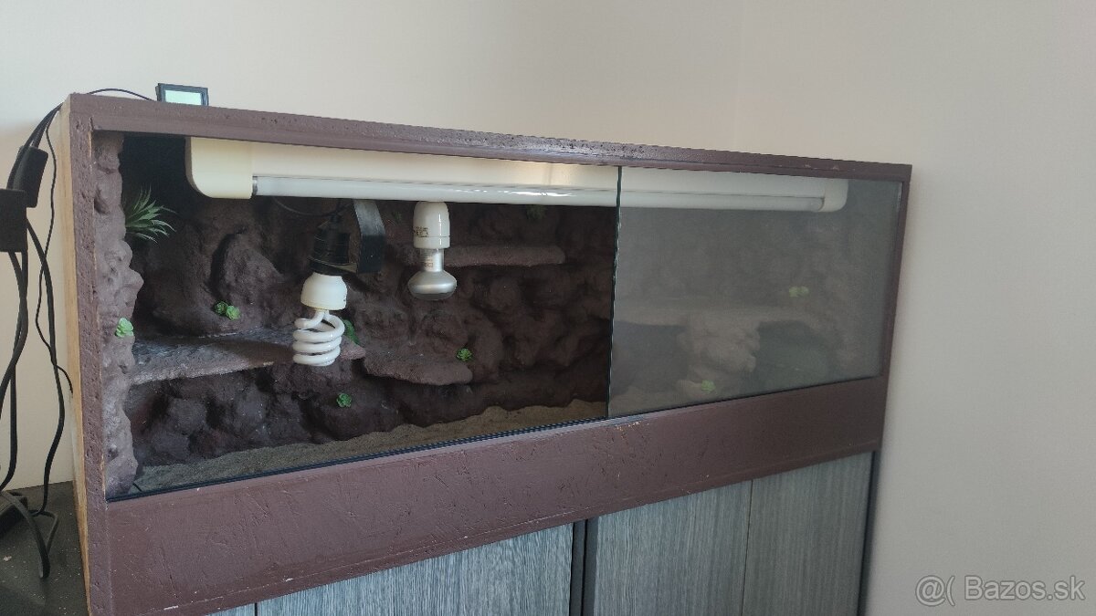 terarium - 4