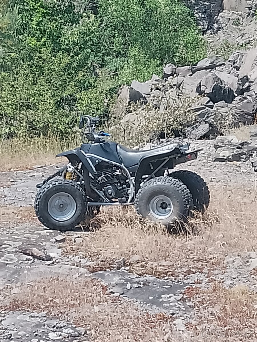 yamaha blaster 200 2t
