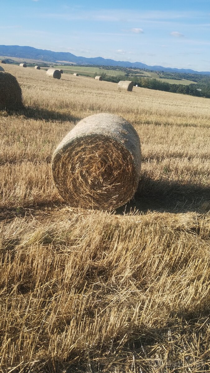 Pradam slamu slama - 4