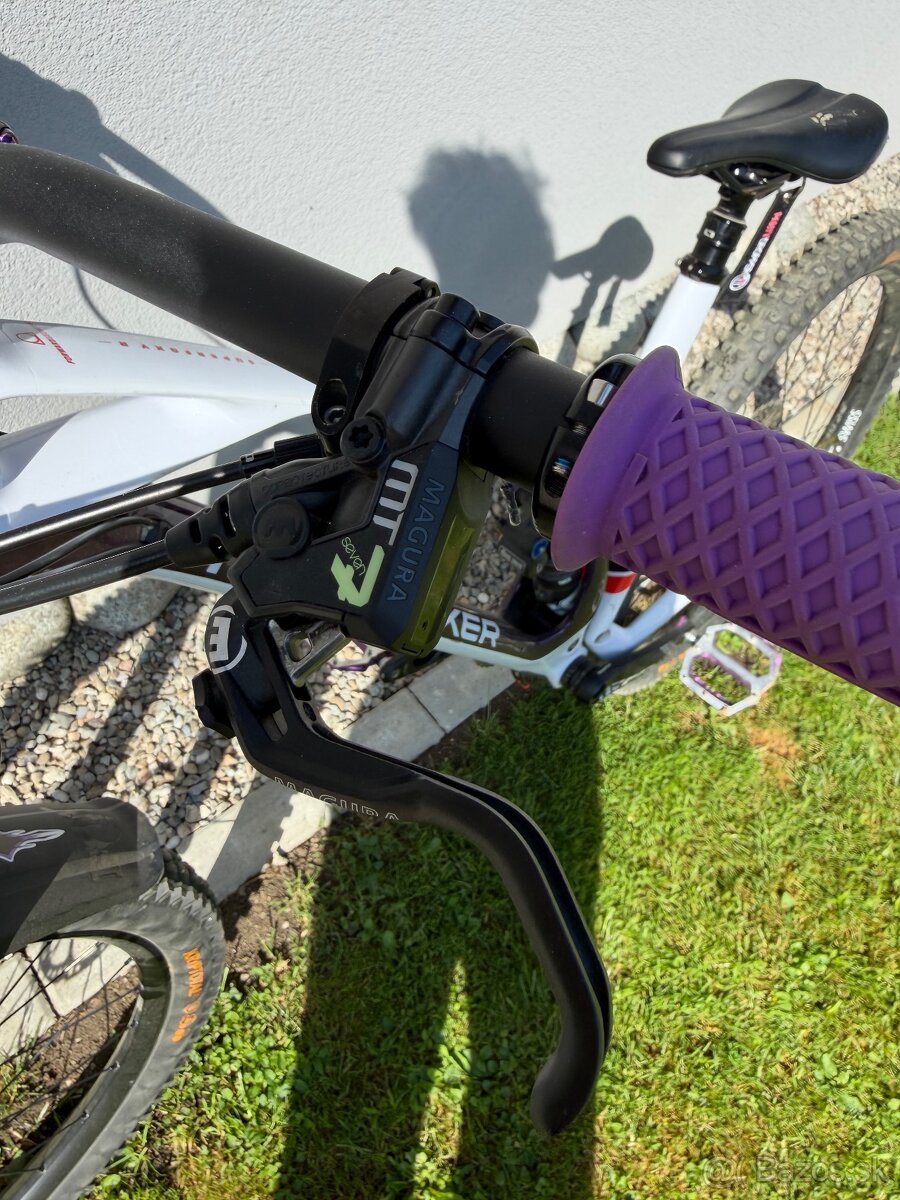 Mondraker - 4