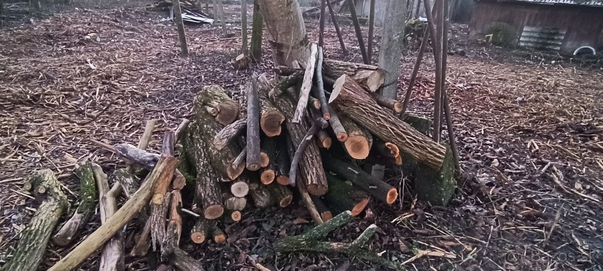 Drevo na predaj. - 4