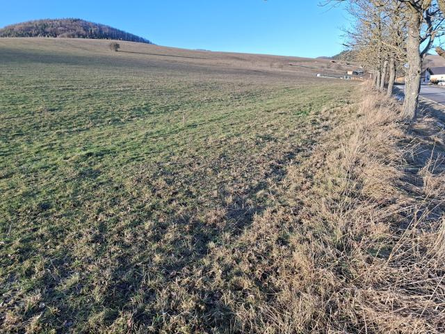 PREDAJ STAVEBNÝ POZEMOK ZBYŇOV - 4