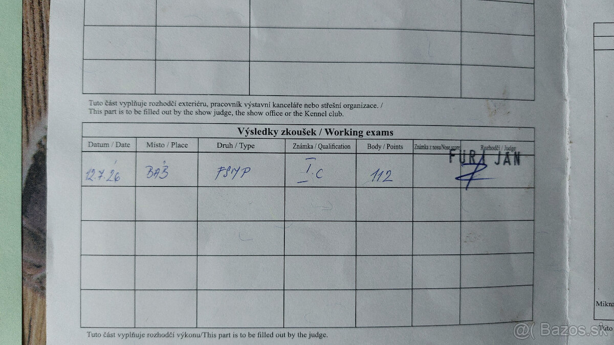 Jazvečík hrubosrstý - 4