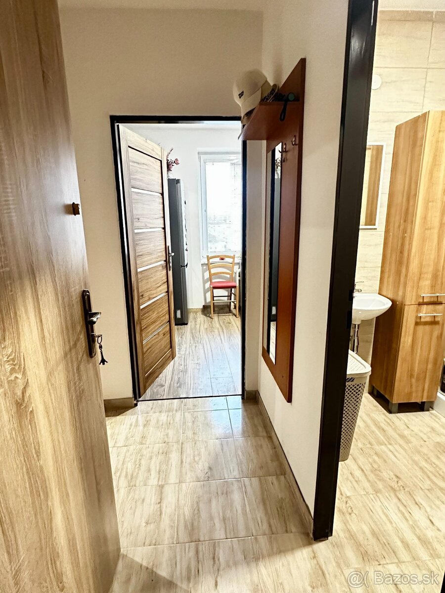 Prenájom 1 izbový byt - 4