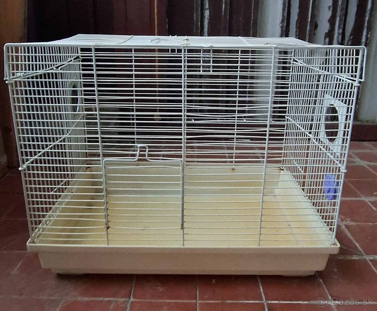 Darujem potkany + klietka - 4