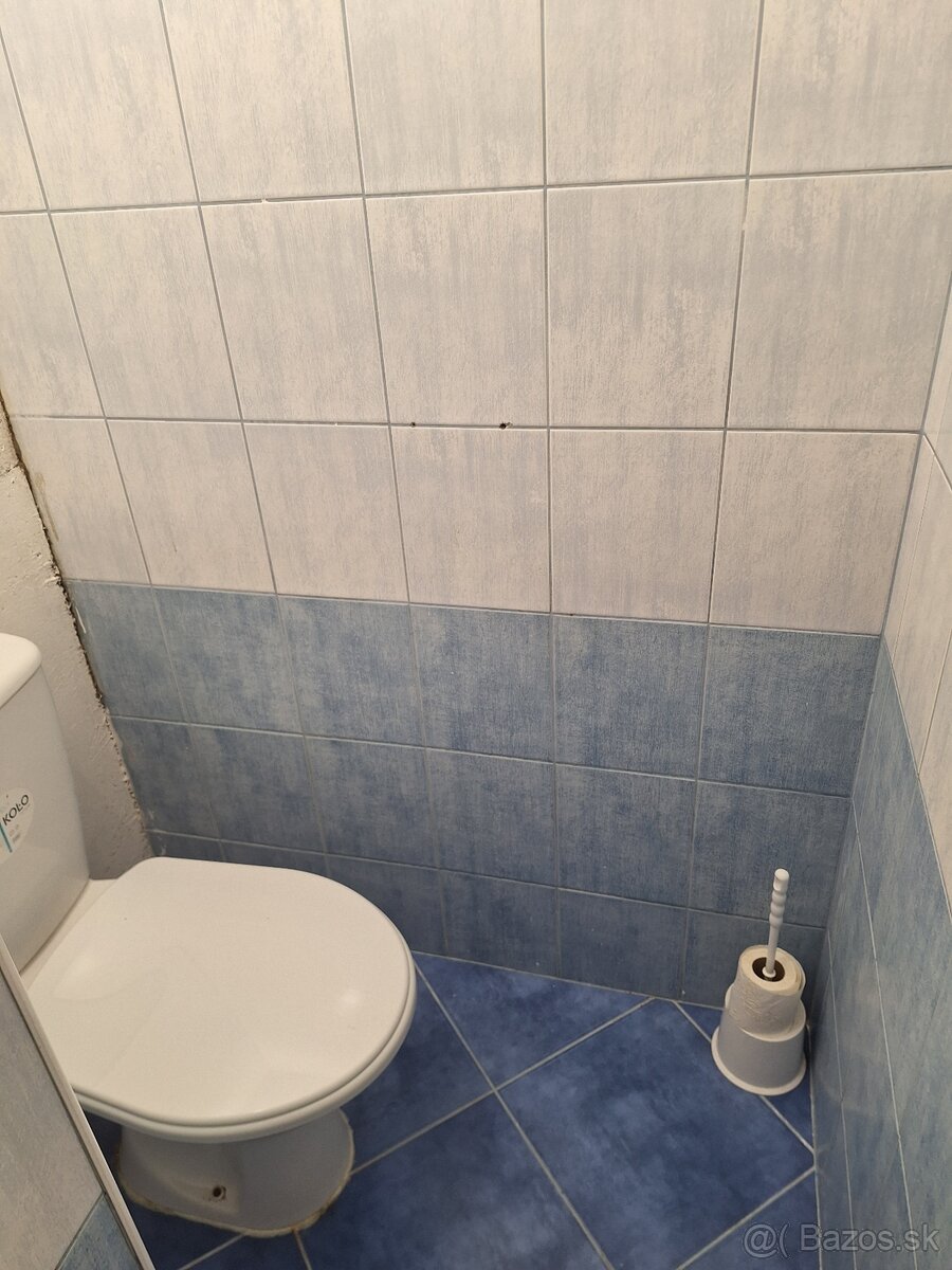 Prenájom 1 izbového bytu - 4