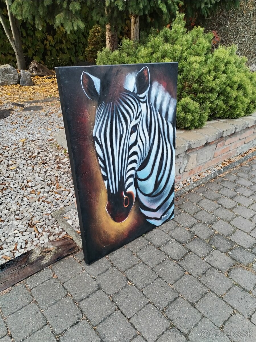 Obraz zebra - 4