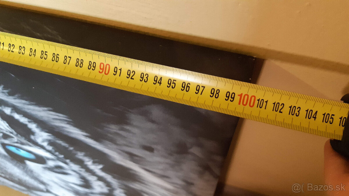 Predám obraz tigra tlac na platne. - 4