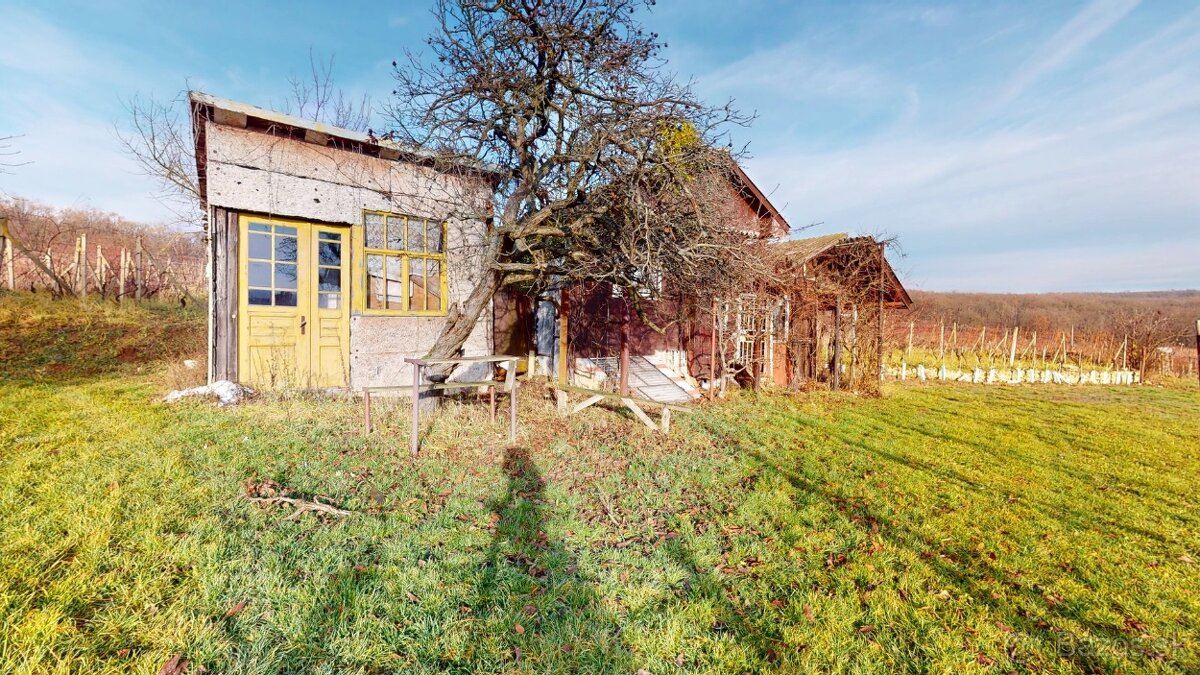 VINICE, TOKAJ- VINIČKY - 4