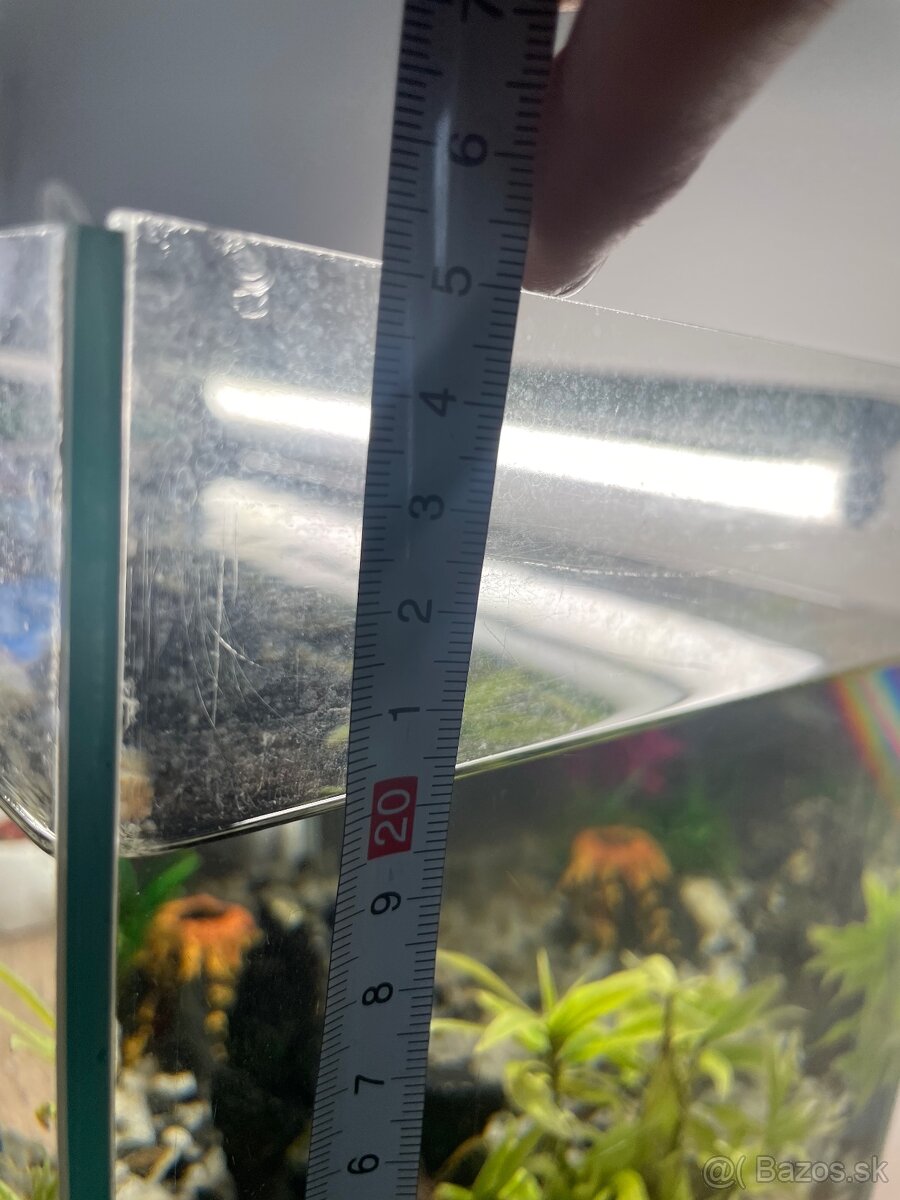 Akvarium s rybami - 4