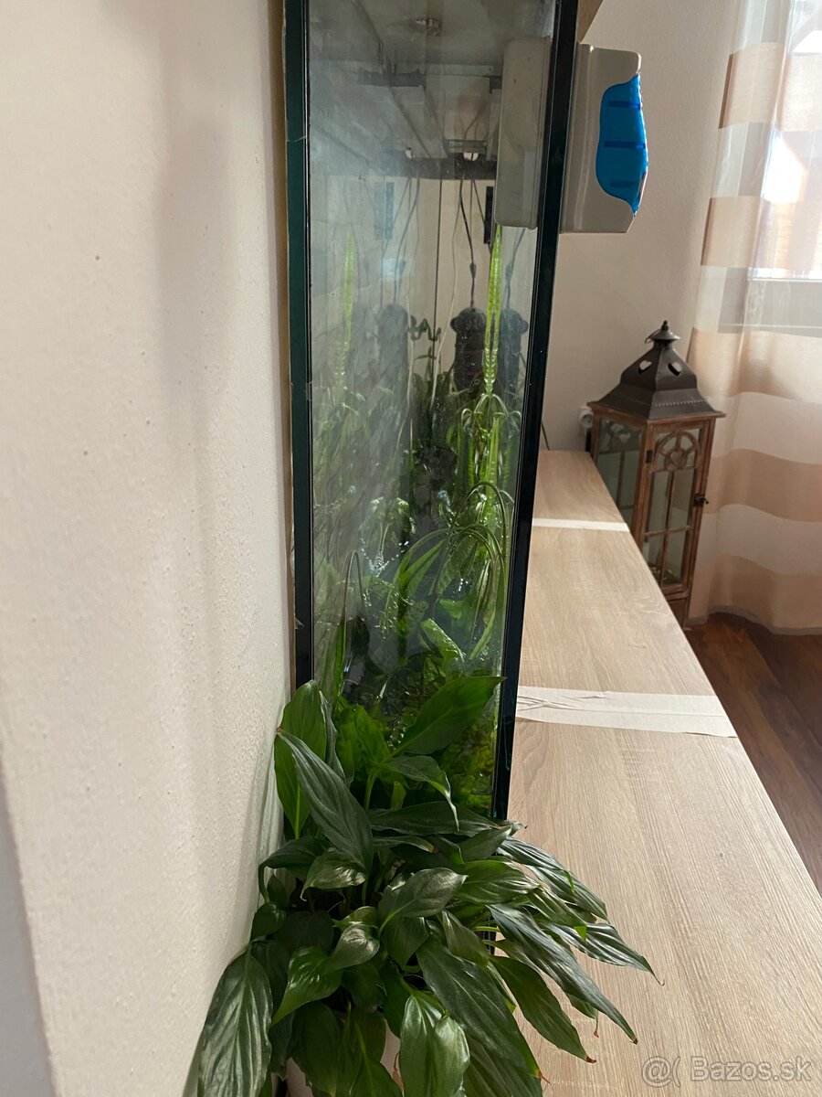 Predám akvárium - 4