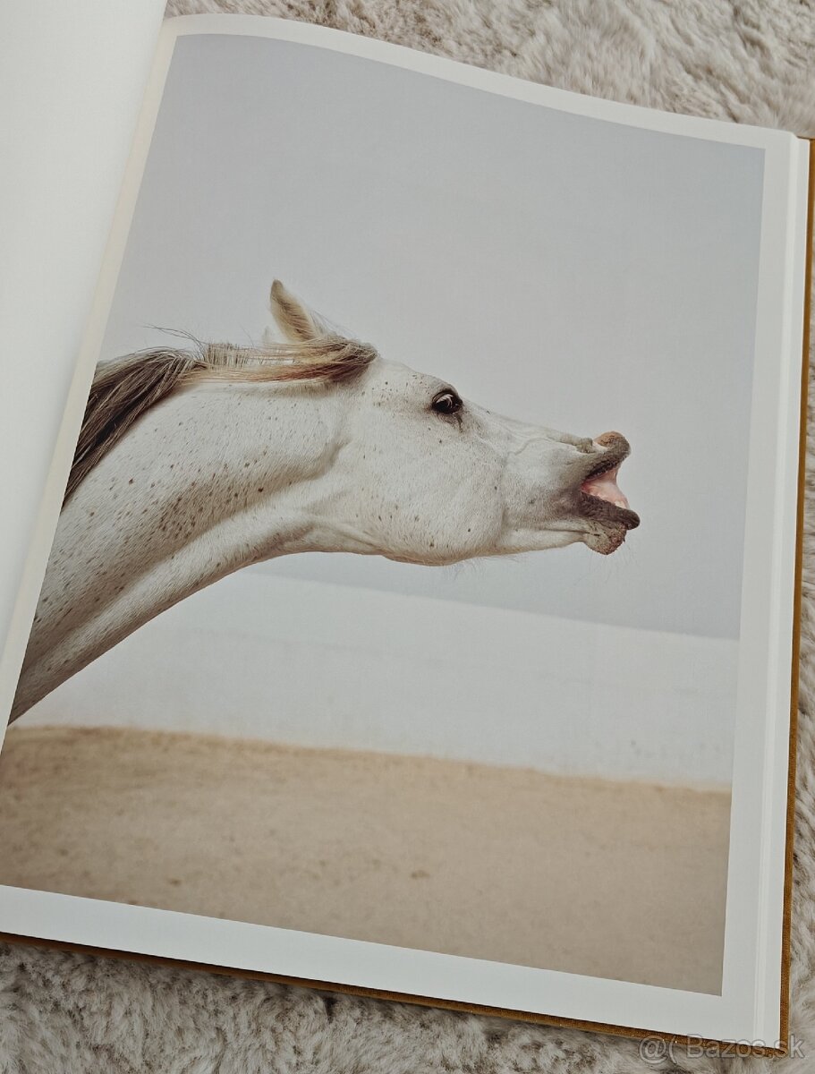 Jitka Hanzlová – Horse - 4