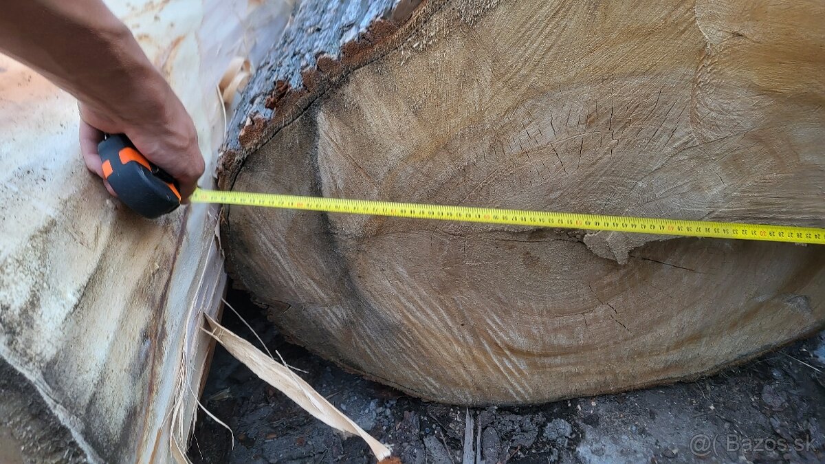 Lipove drevo kmene - 4