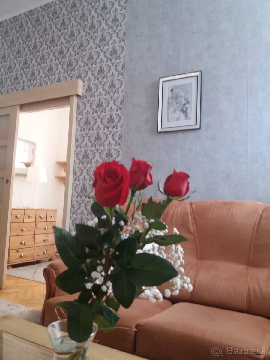 Prenajmem 3izbovy byt v starom meste - 4