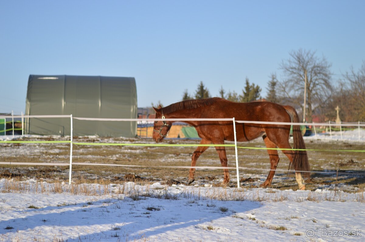 Pastvinové ustajnenie - 4