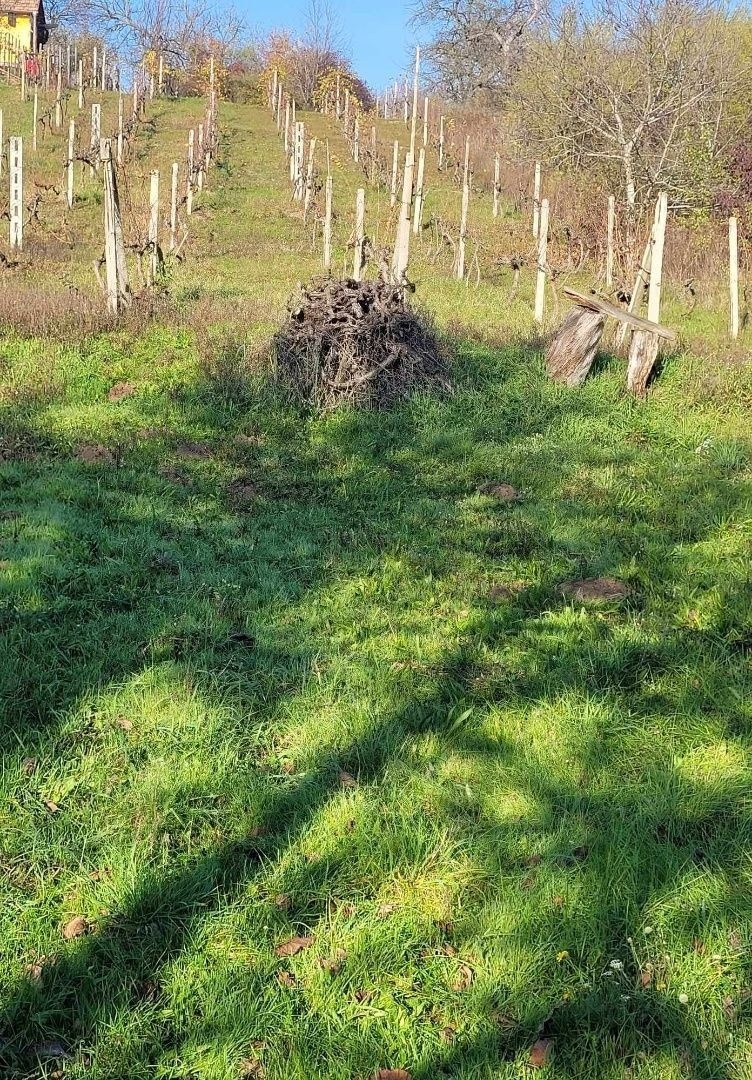 Ponúkame na predaj pozemok na Božom kopci v Štúrove - 4