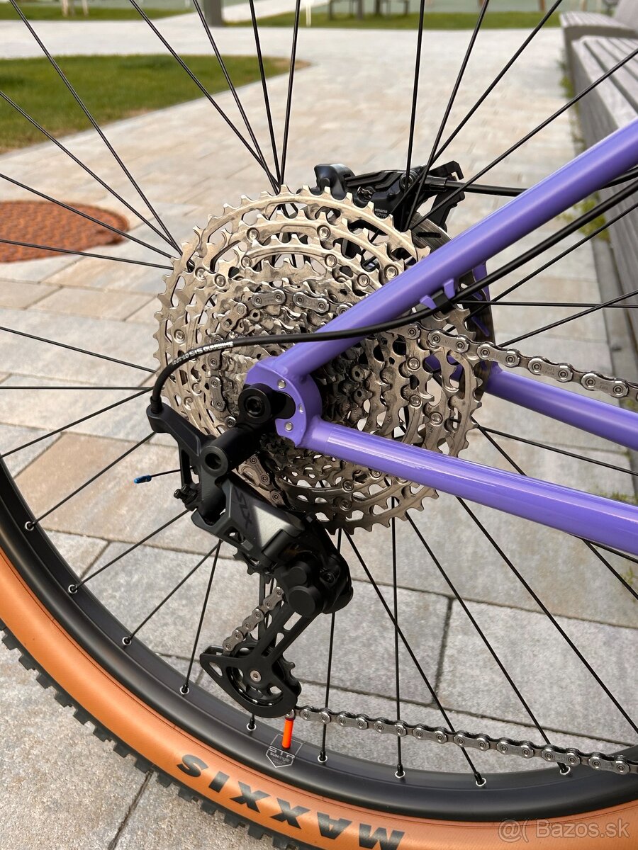 Jeronimo Txabardo / 29er / CrMo / Custom Hardtail - 4