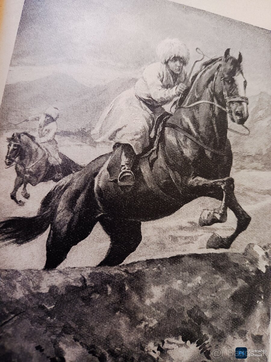 Kniha DŽAVACHOVSKÉ HNÍZDO L.A.ČARSKÁ rok vyd 1919 - 4