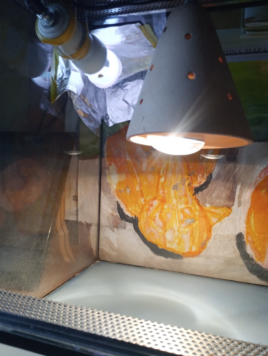 Terarium 80x 40x 40cm - 4