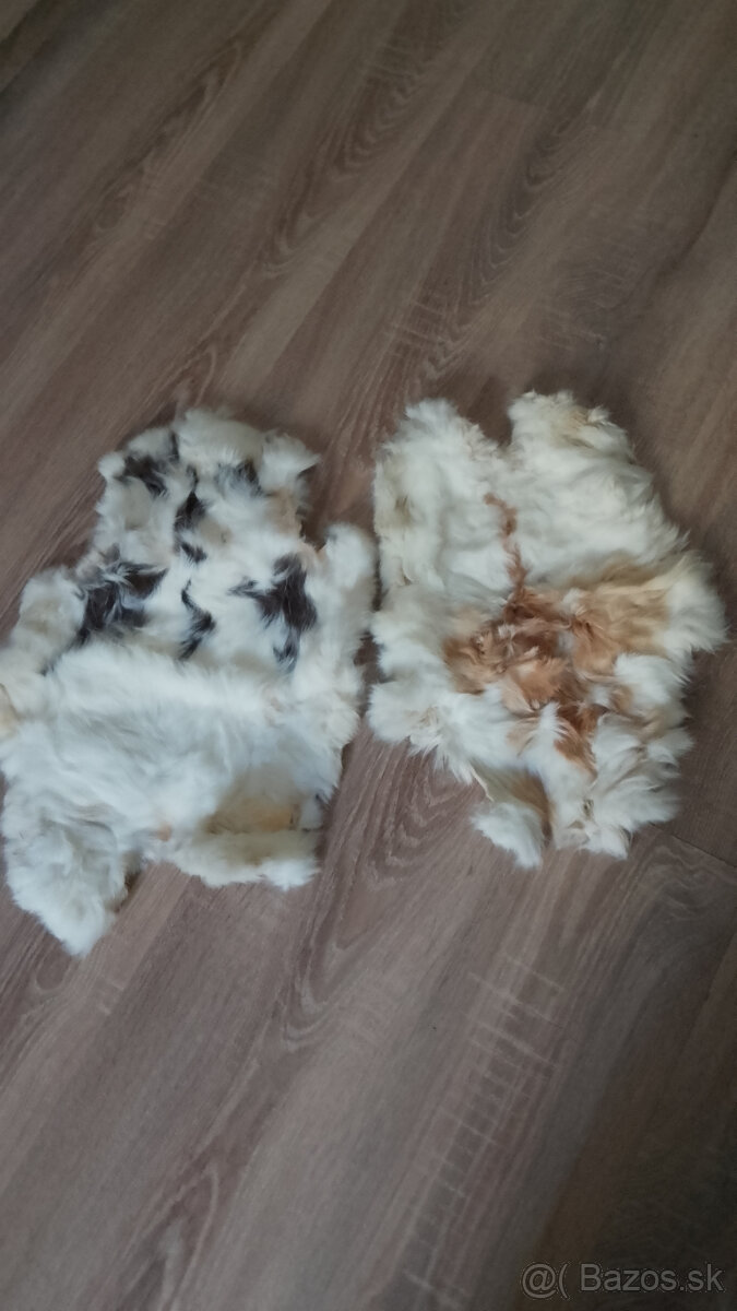 Predám vypracované kože - 4