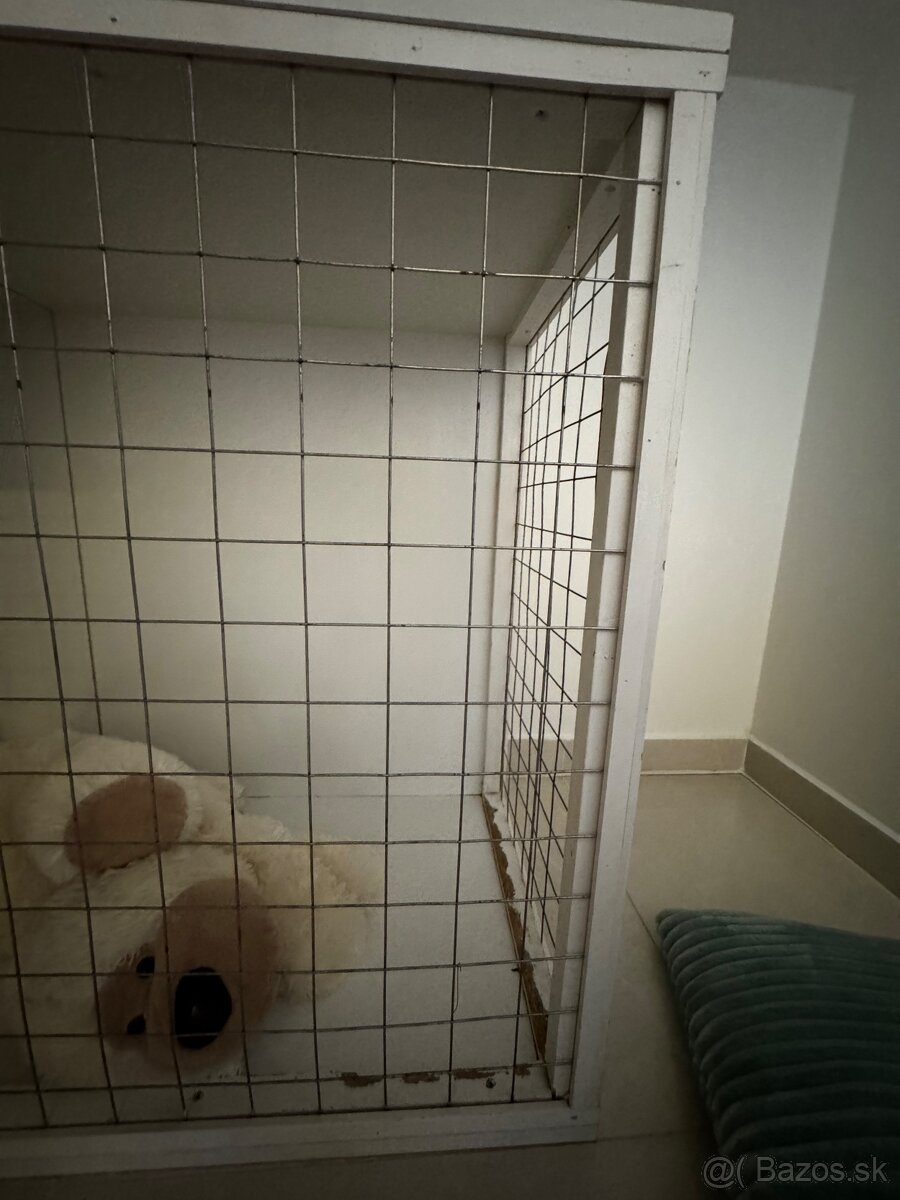 Klientka pre psa - 4