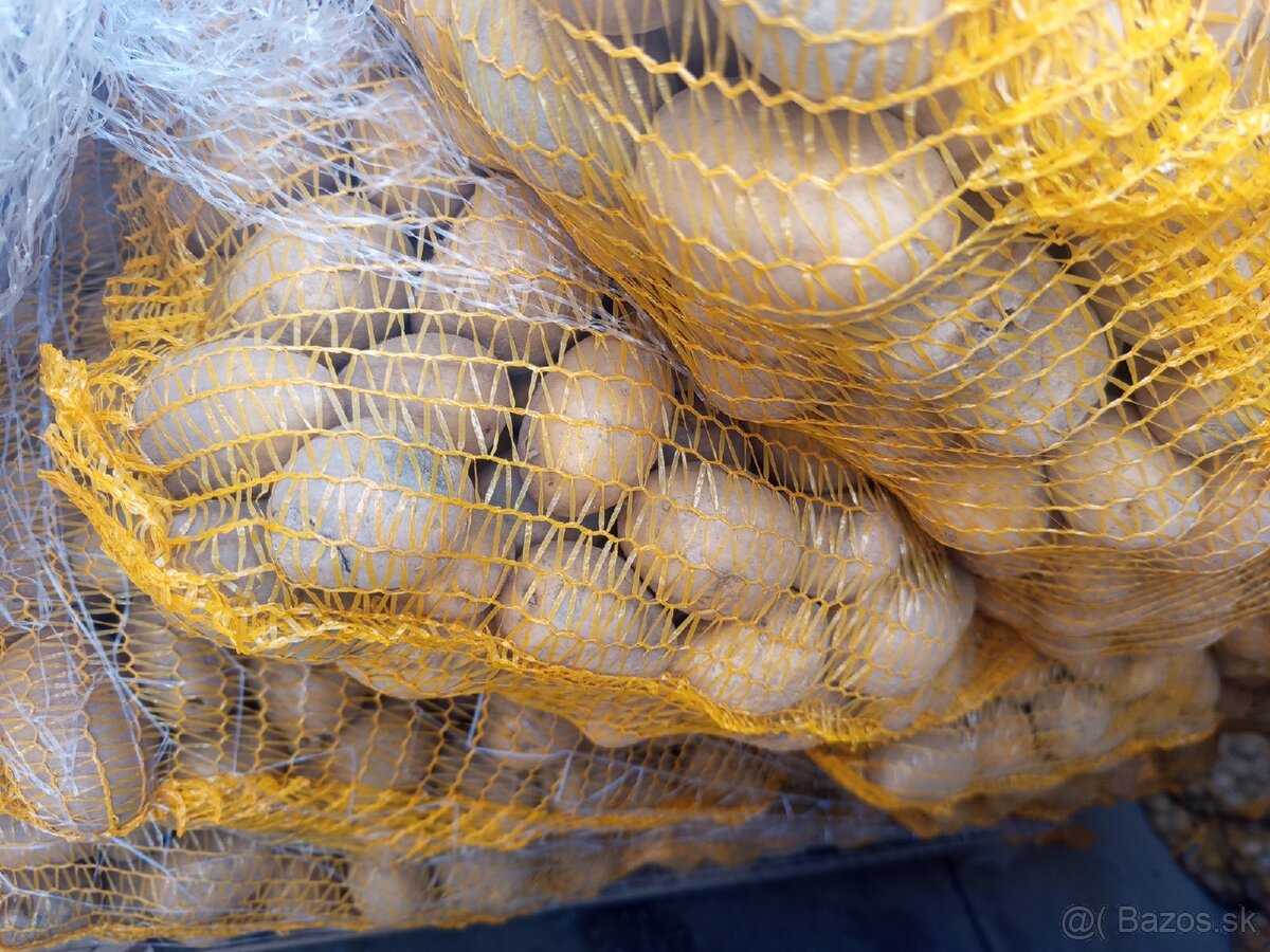 Sadbové zemiaky - 4