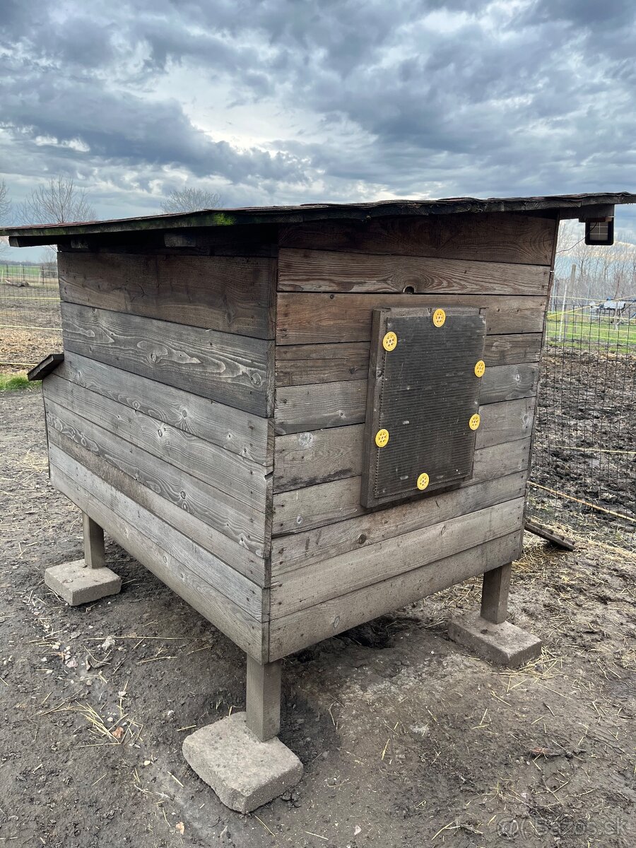 Kurín pre sliepky - 4