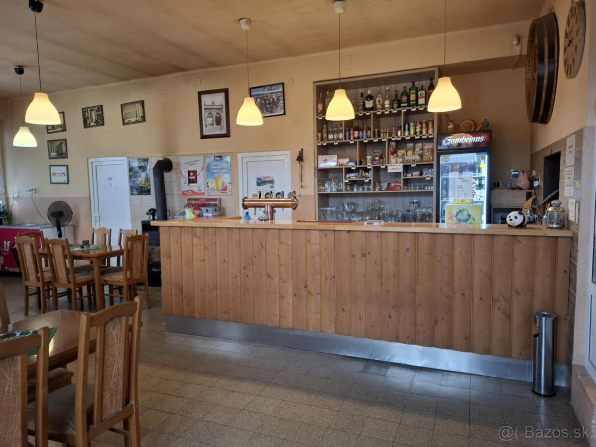 Predaj Kostolanská krčma Jedľové Kostoľany - 4