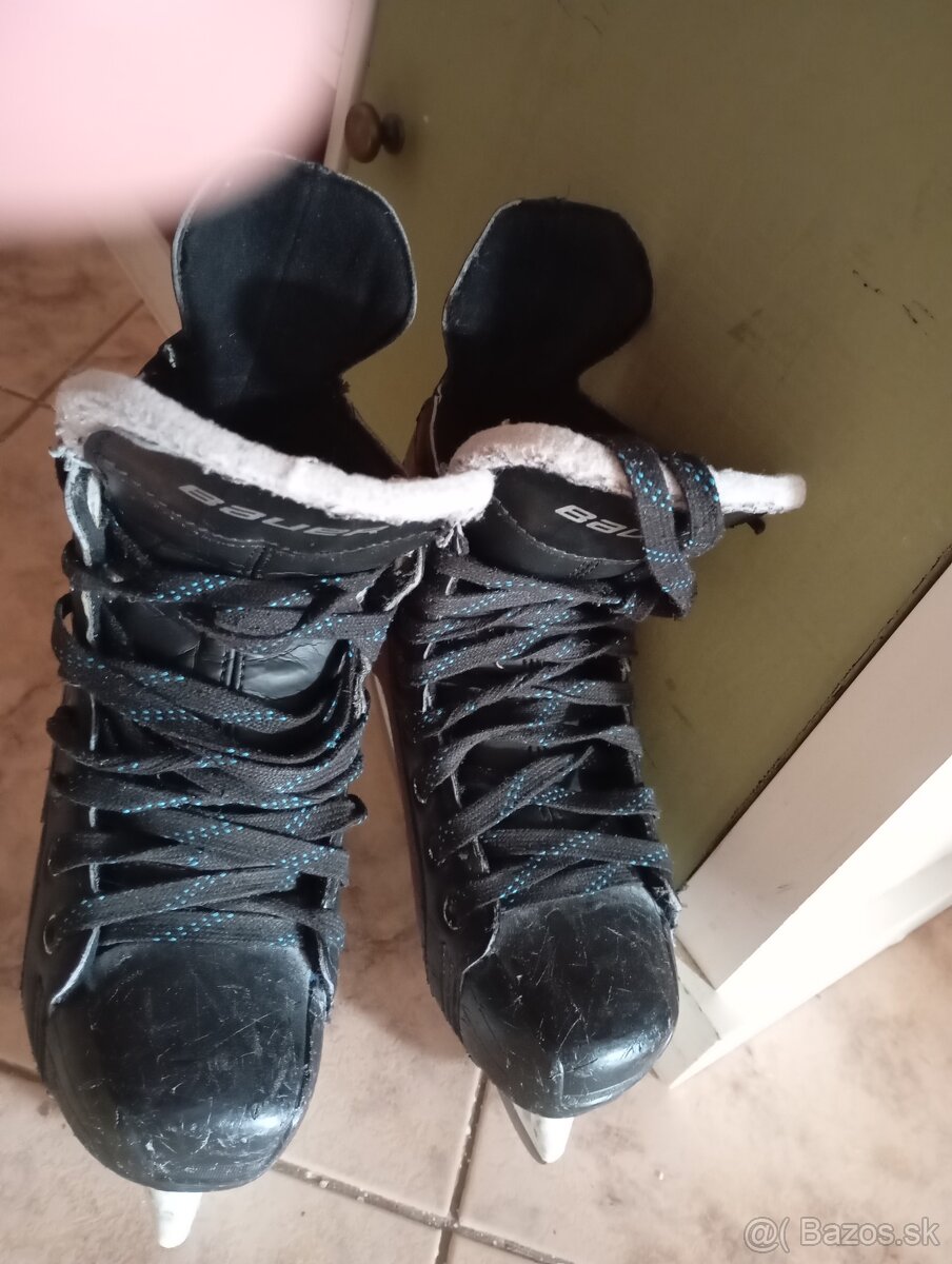 Korčule Bauer 35 - 4