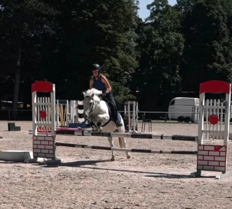 Poník na prenájom - 4