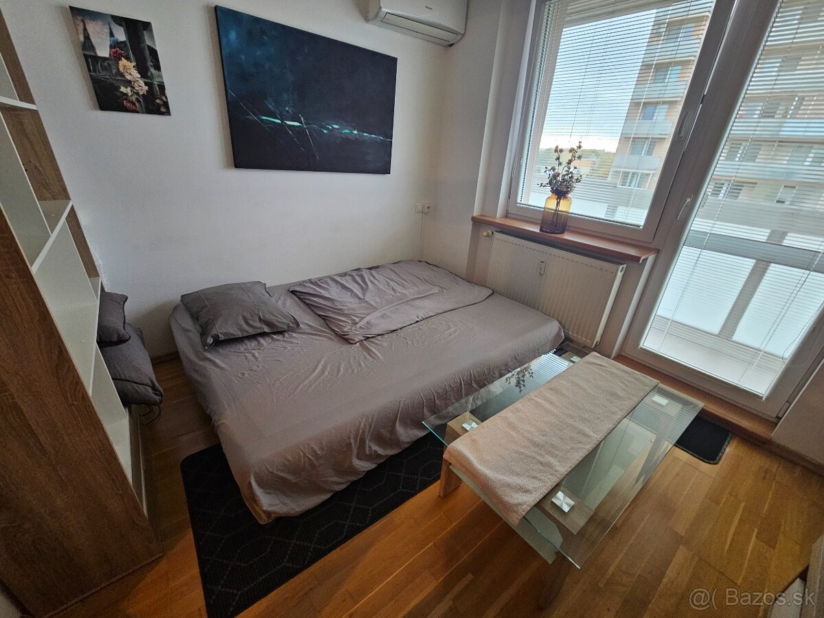 DLHODOBÝ PRENÁJOM / GARSÓNKA / SENICA / - 4