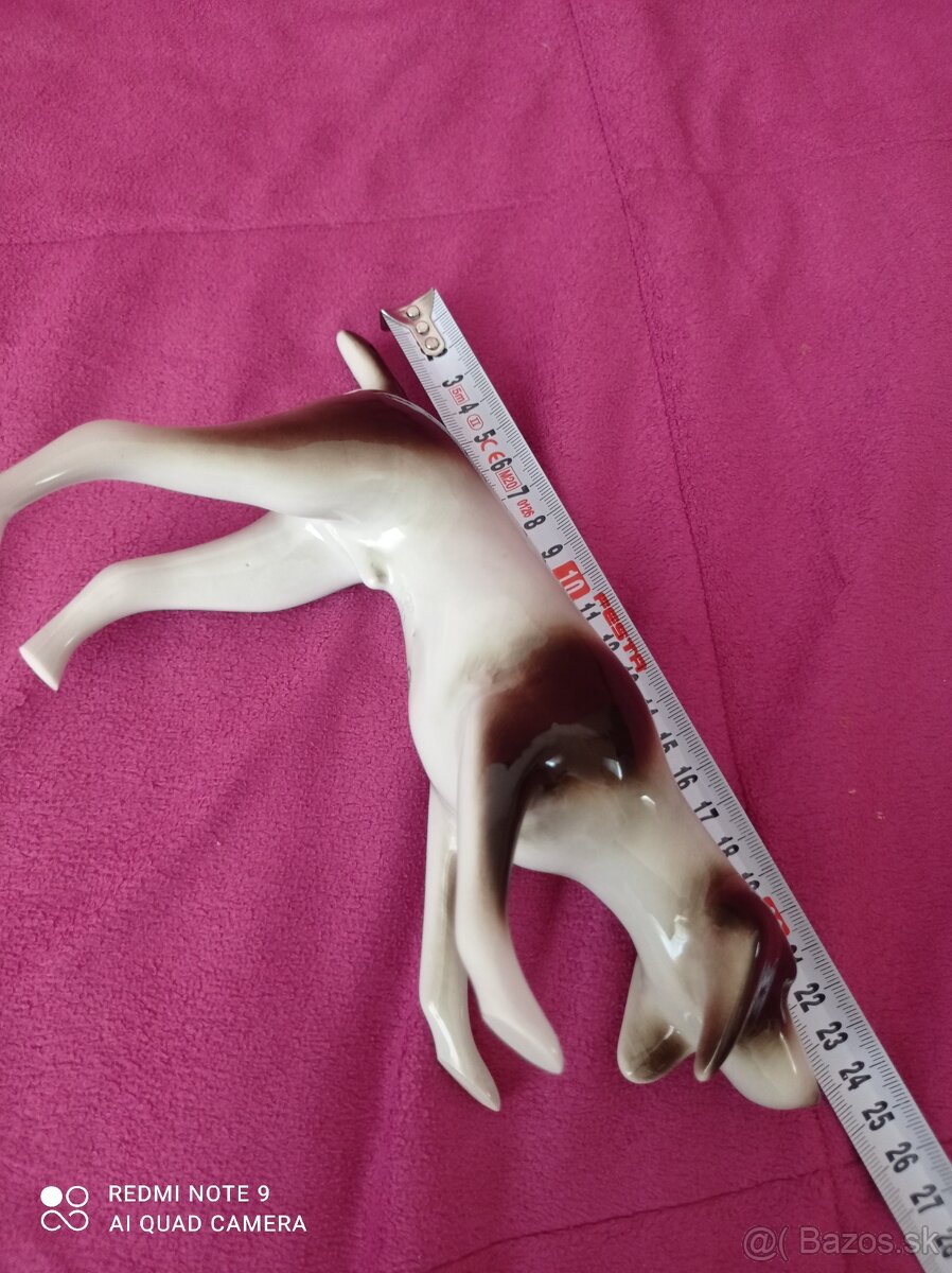 Staré sošky Baletka Pes - 4