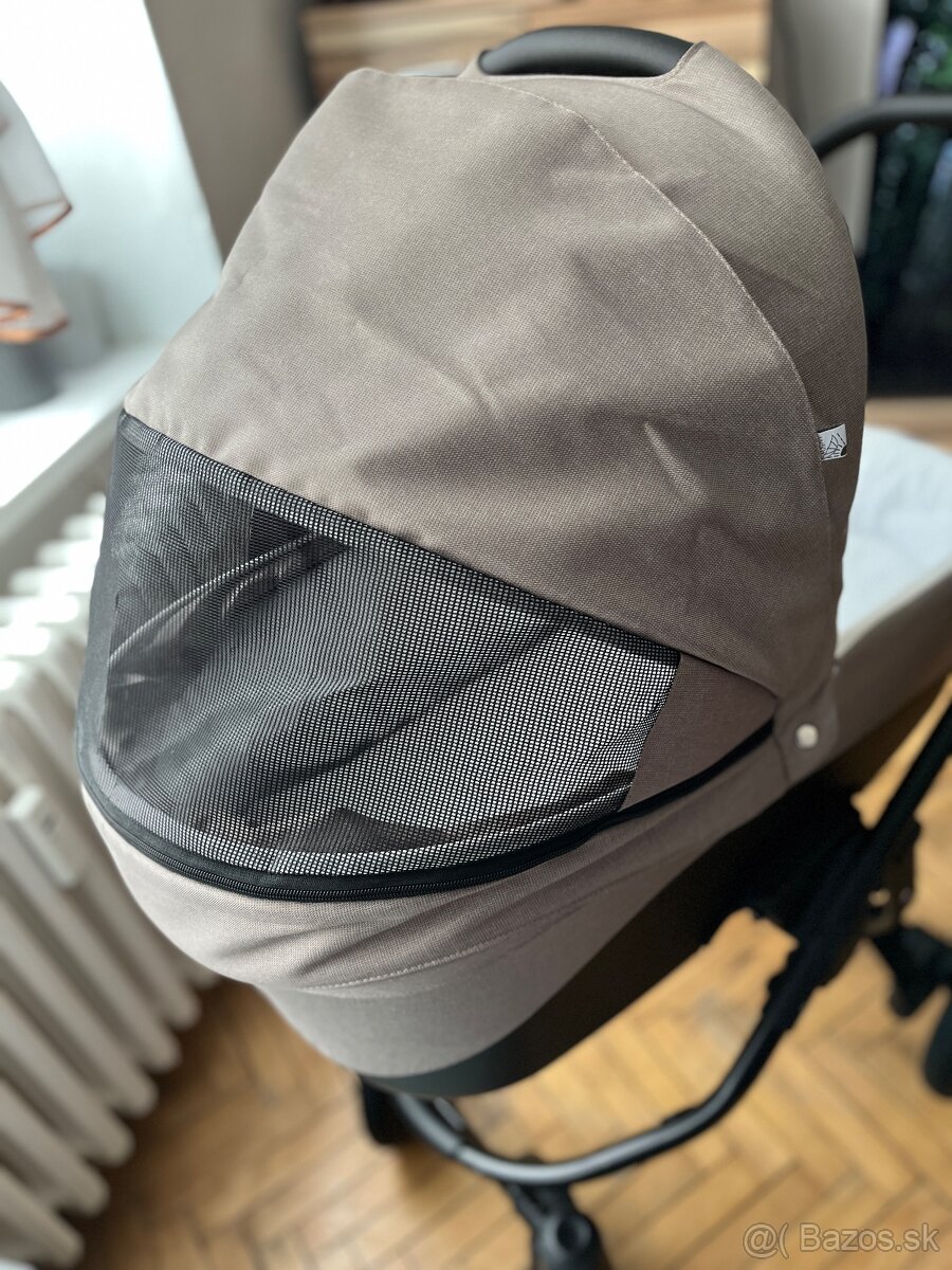 Kočik Bebetto Holland - 4