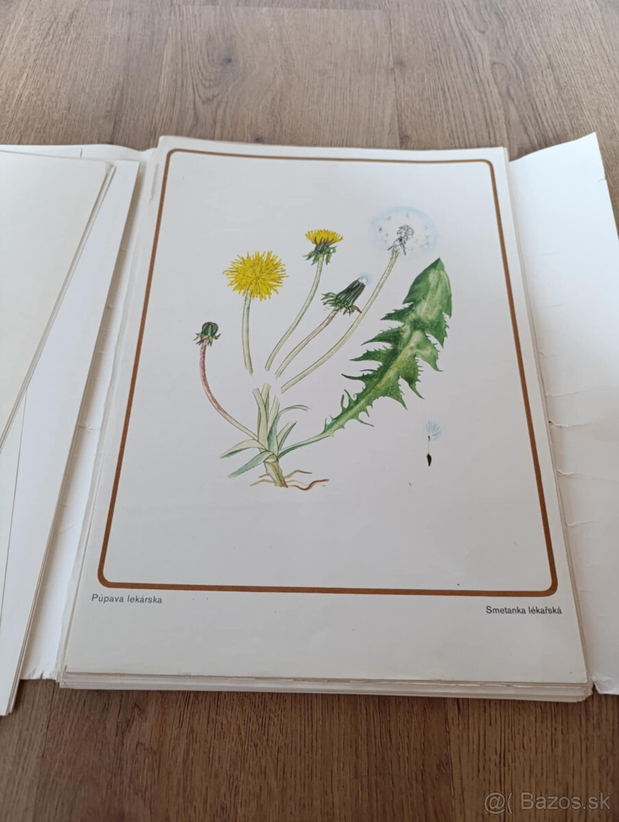 Staré školské pomôcky - 4