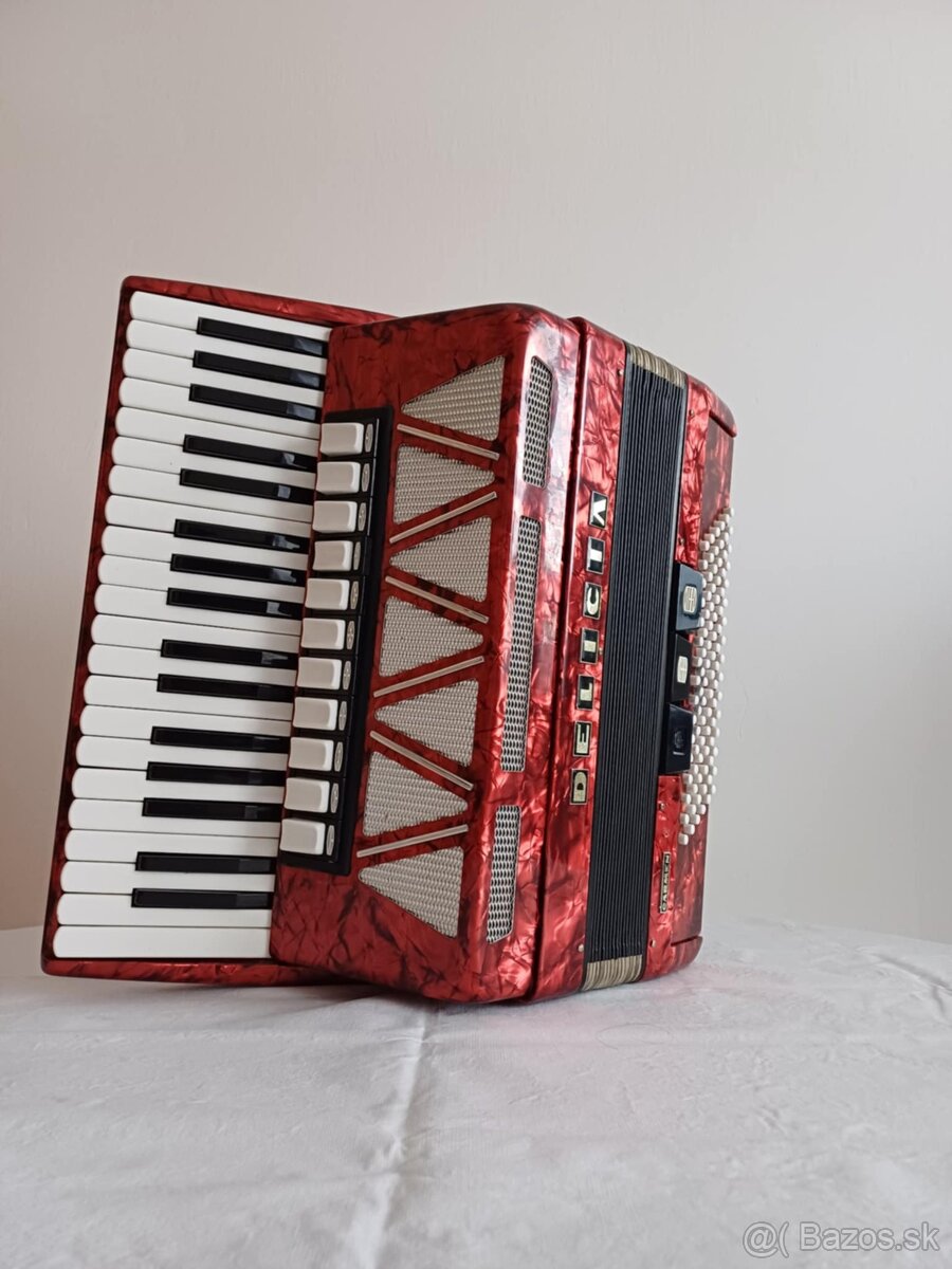 Akordeón Delicia - 4