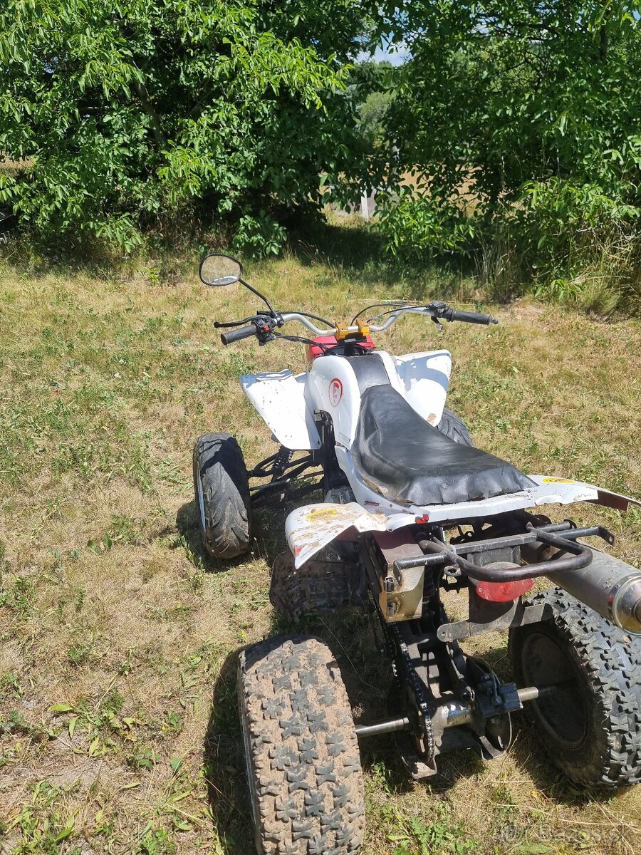 Predam Bashan 250cc