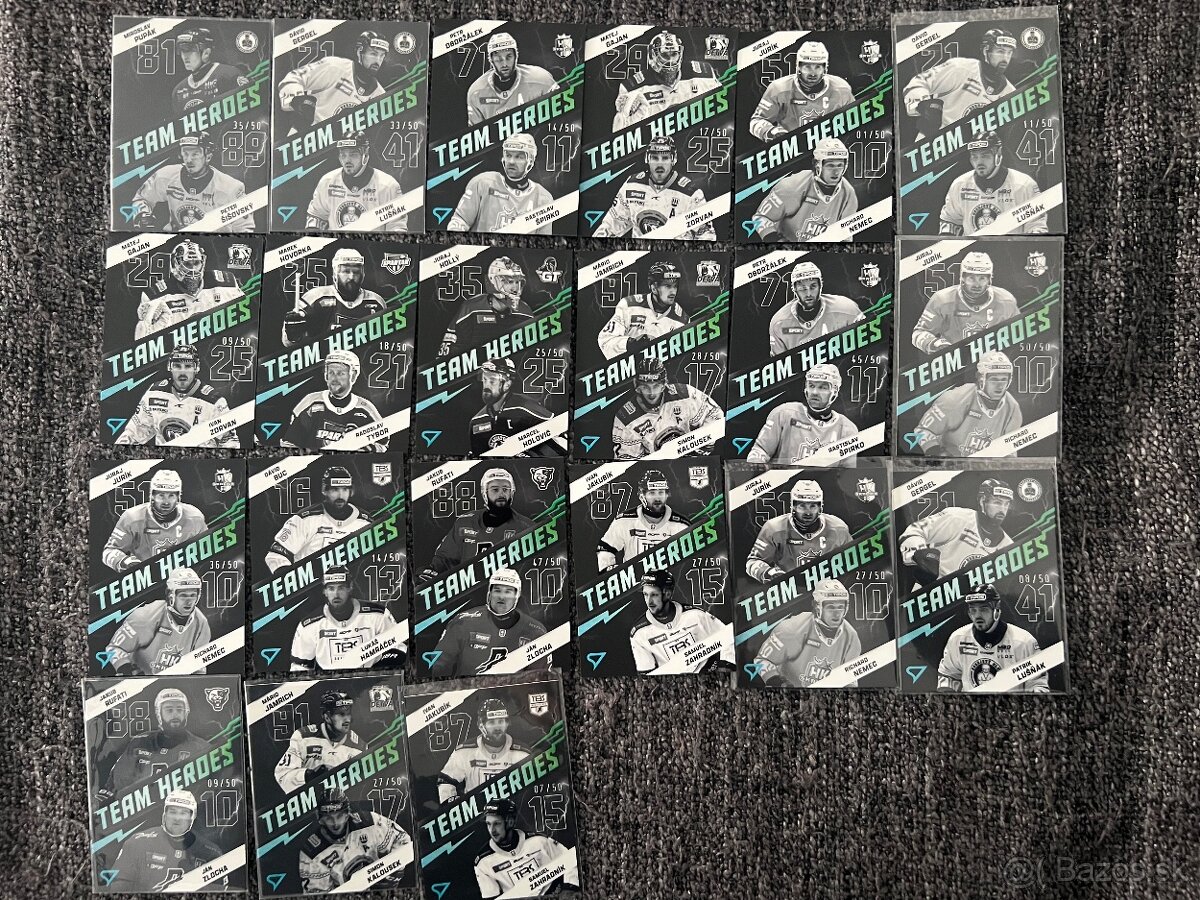 Tipos SHL Sportzoo - 4