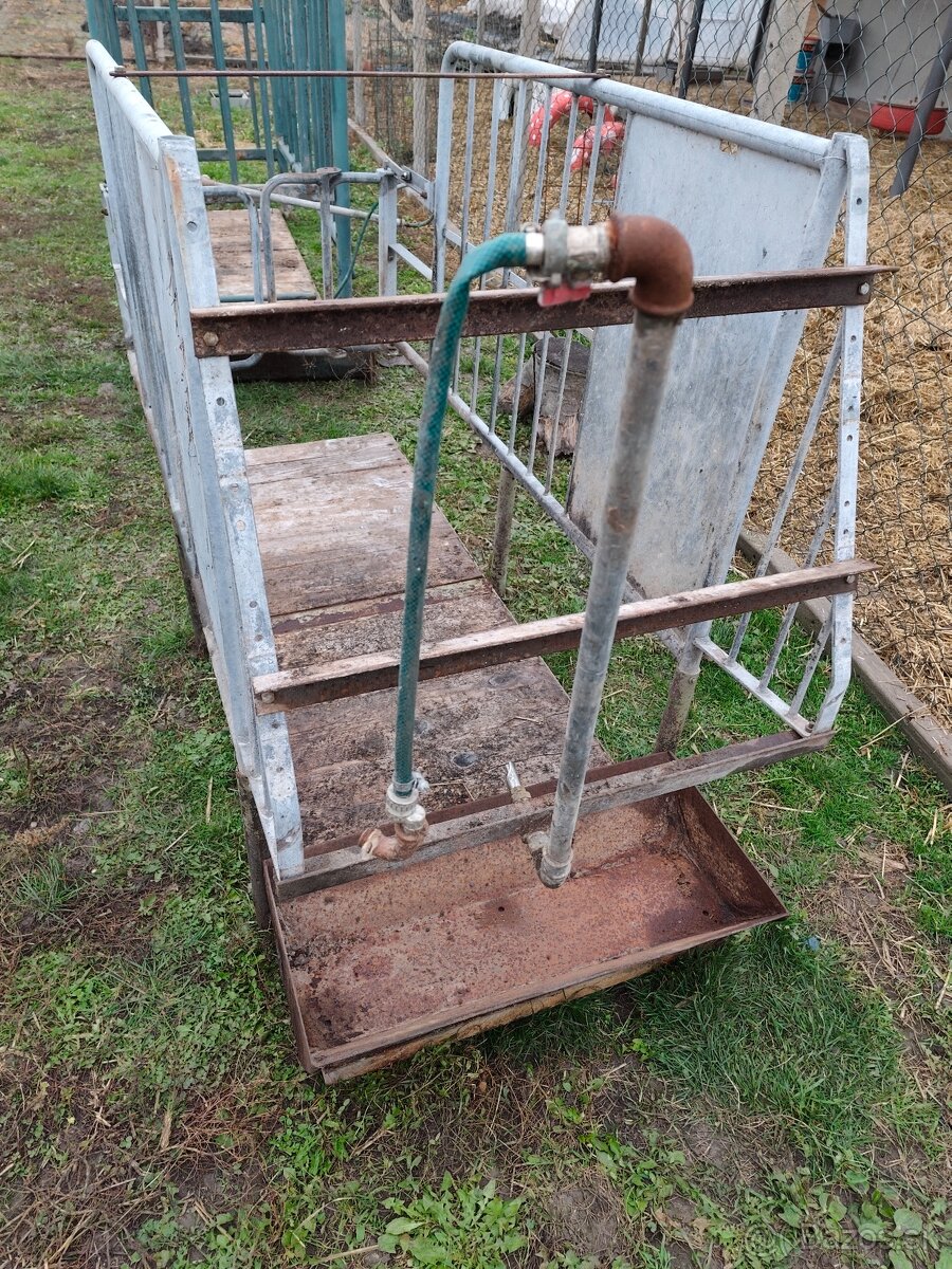 Pôrodná klietka pre prasnice - 4