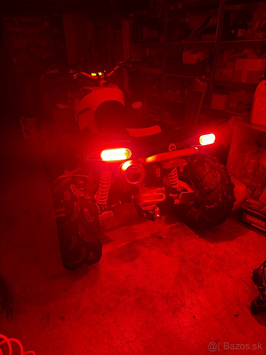 Can am renegade 800R 2008